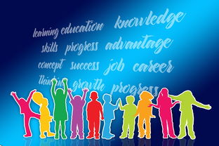 乐鱼体育网站入口-中国篮球职业联赛品牌战略及市场推广研究，中国的职业篮球联赛