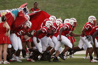 乐鱼娱乐登录-全国城际定向越野赛青少年组吸引众多参赛者，全国定向越野锦标赛
