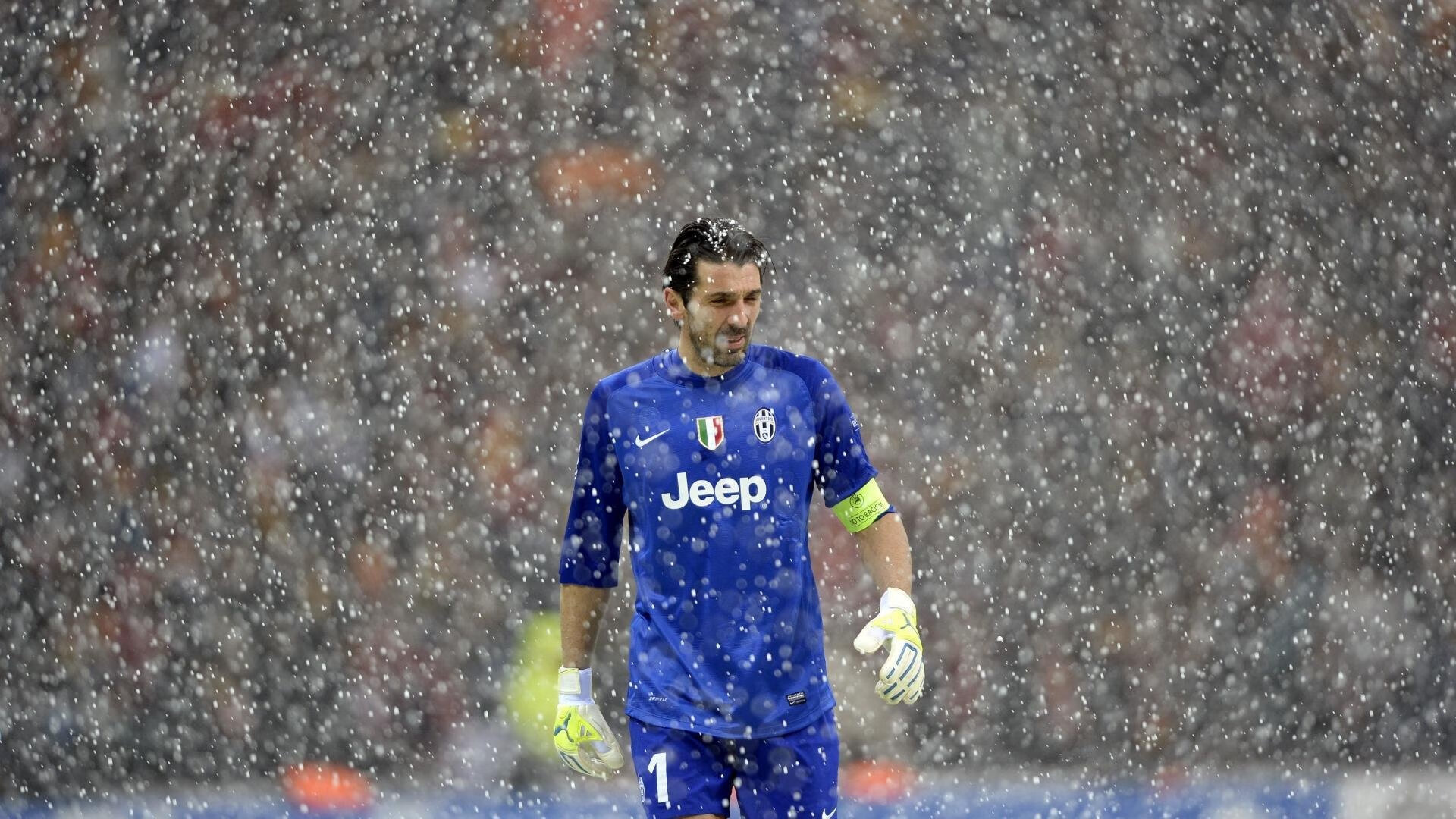 格林伍德凭借全面的防守技巧，让袋鼠队在比赛中占据主动，格林伍德什么水平